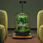 Micro Landscape Green Oasis Glass Vase, 16x20cm