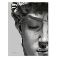 Contemporary David Plaster Sculpture Canvas Wall Art | Welvere-Welvere