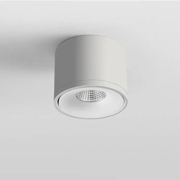 Novavia Surface Mounted Downlight-Welvere