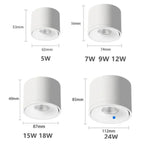 Novavia Surface Mounted Downlight-Welvere