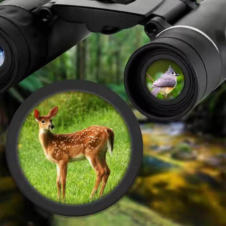 HD Long-Range Binoculars 40x22 for Outdoor Use - Lightweight, Shock-Resistant, view 2