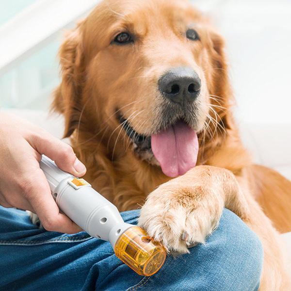 Painless Nail Trimmer for Pets - Battery Powered, All Size Dogs & Cats