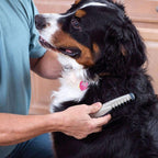 Electric Pet Grooming Comb for Dogs and Cats - Rotating Blades, ABS Plastic, view 5