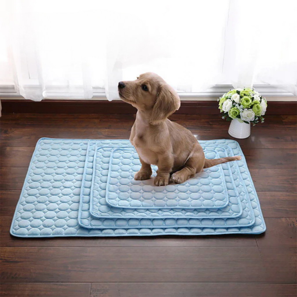 Cooling Dog Mat for Summer Heat Relief - Pressure-Activated Gel, 60 cm or 90 cm