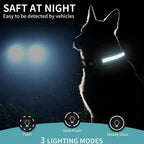 Waterproof LED Light Up Dog Collar - USB Rechargeable, Adjustable, Night Safety