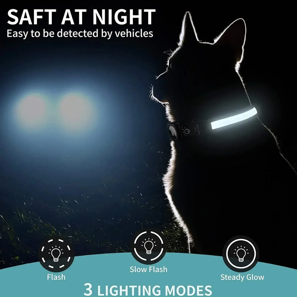 Waterproof LED Light Up Dog Collar - USB Rechargeable, Adjustable, Night Safety
