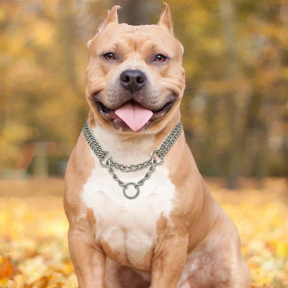 Stainless Steel Dog Training Necklace - Double Metal Chain, Choke Design