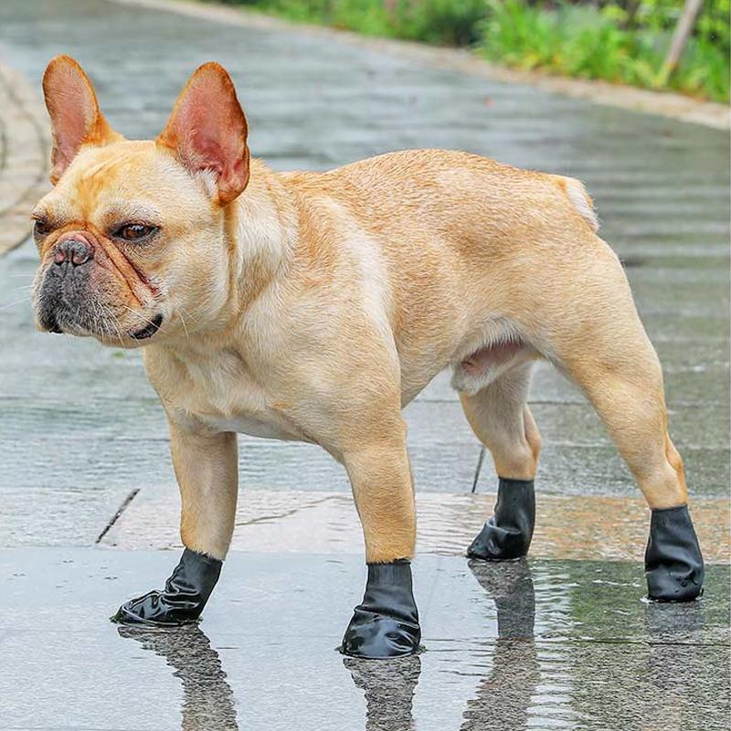 Waterproof Dog Shoes with Grip - Slip-Resistant, Soft Material, Multiple Colours, view 3