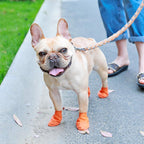 Waterproof Dog Shoes with Grip - Slip-Resistant, Soft Material, Multiple Colours, view 5