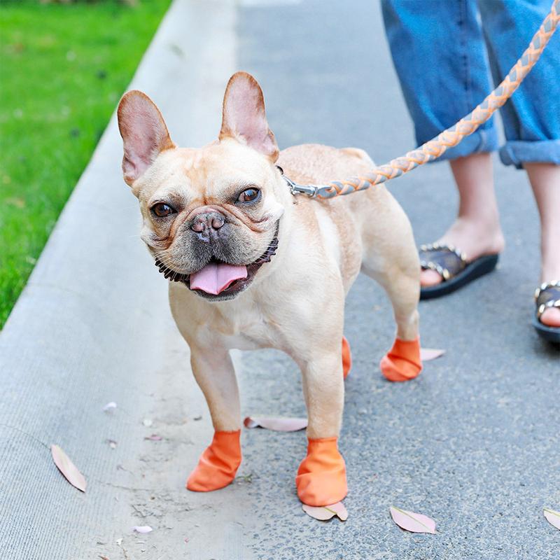 Waterproof Dog Shoes with Grip - Slip-Resistant, Soft Material, Multiple Colours, view 5