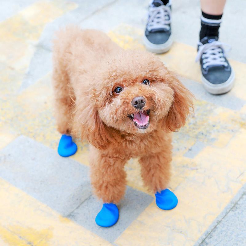 Waterproof Dog Shoes with Grip - Slip-Resistant, Soft Material, Multiple Colours, view 6