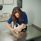 Dog Nail Clipper with Quick Sensor - Safe Ergonomic Design, view 13