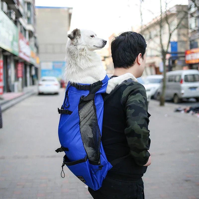 Dog Backpack for Medium Dogs - Safety Strap, Storage Pockets, 64x30 cm, view 11