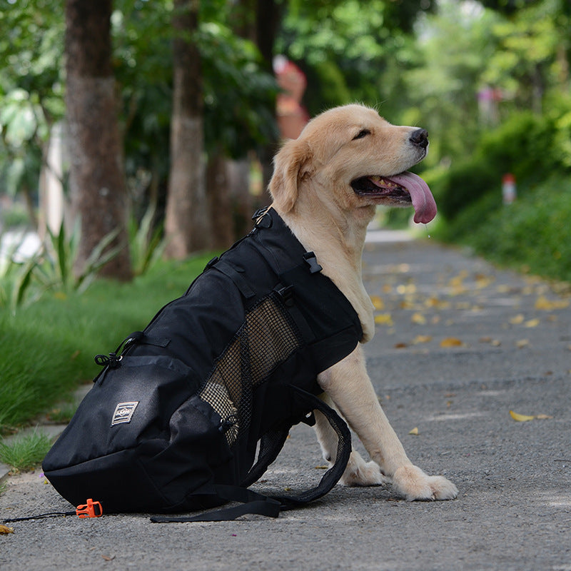 Dog Backpack for Medium Dogs - Safety Strap, Storage Pockets, 64x30 cm, view 6