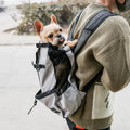 Dog Backpack for Medium Dogs - Safety Strap, Storage Pockets, 64x30 cm, view 9
