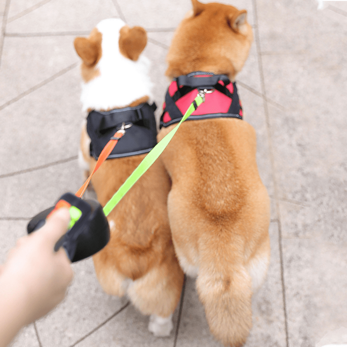 Retractable Dual Dog Lead for Two Dogs - 4m Extendable, Built-in Torch, view 2