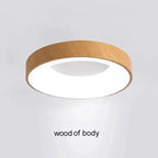 Pineford LED Ceiling Light-Welvere