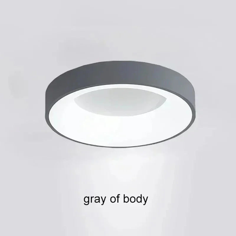 Pineford LED Ceiling Light-Welvere