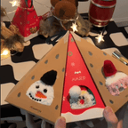 Plush Coral Fleece Christmas Socks with Gift Box