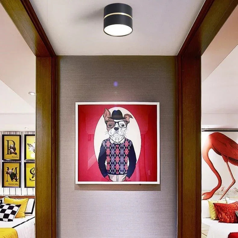 Portavia Surface Mounted Downlight-Welvere
