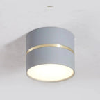 Portavia Surface Mounted Downlight-Welvere