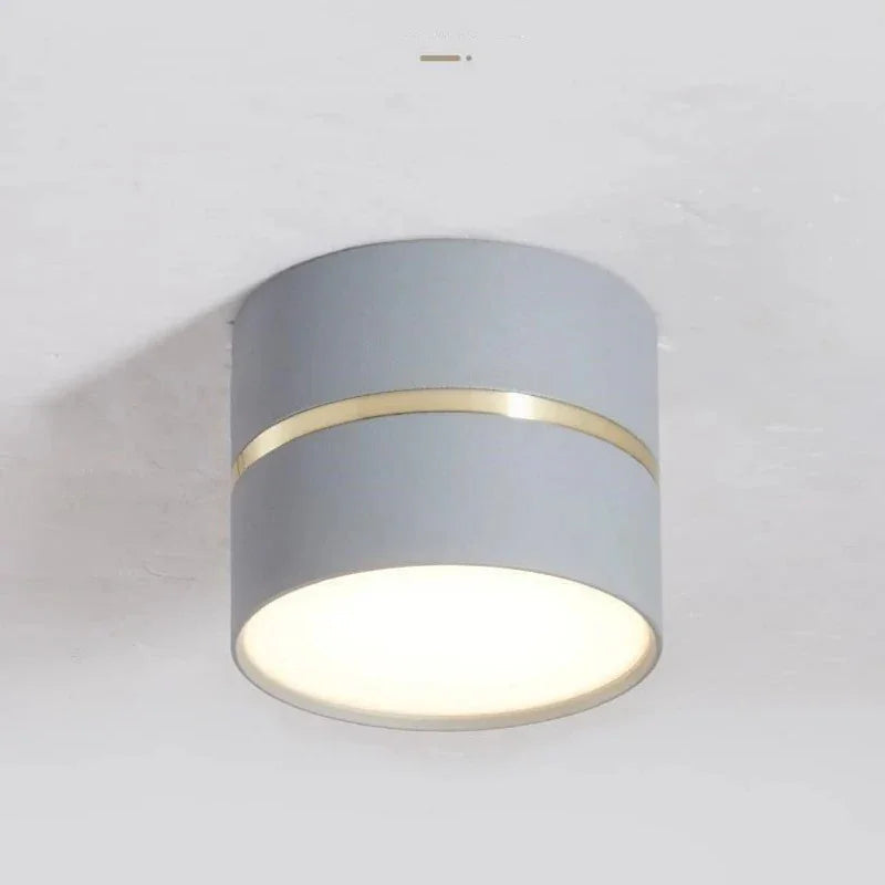 Portavia Surface Mounted Downlight-Welvere
