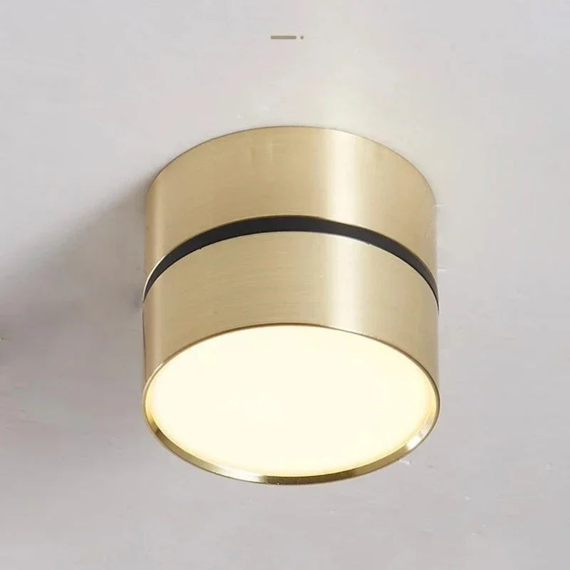 Portavia Surface Mounted Downlight-Welvere