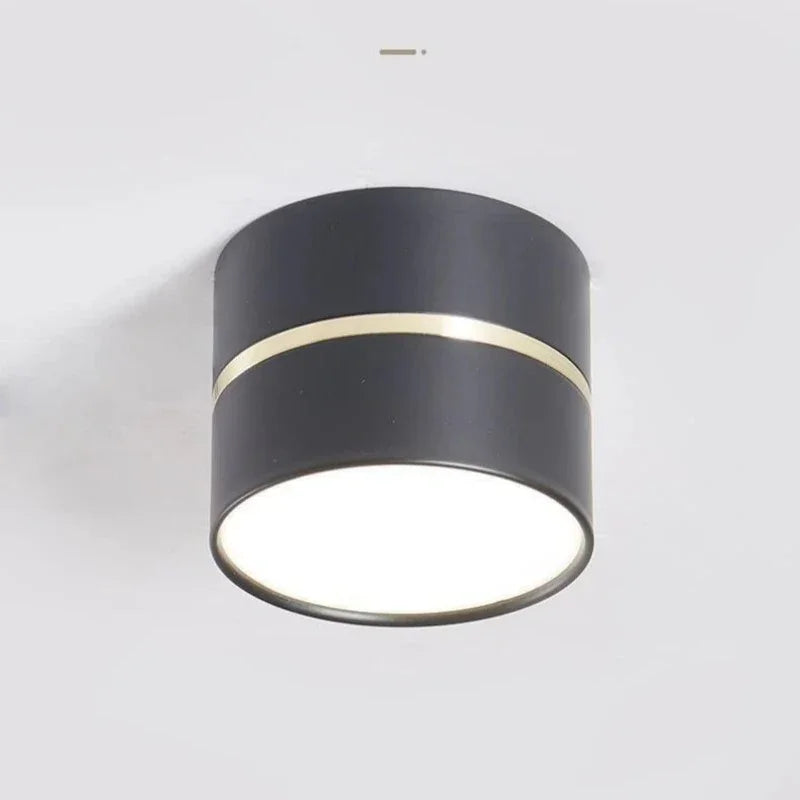 Portavia Surface Mounted Downlight-Welvere