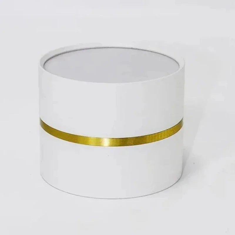 Portavia Surface Mounted Downlight-Welvere