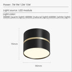 Portavia Surface Mounted Downlight-Welvere