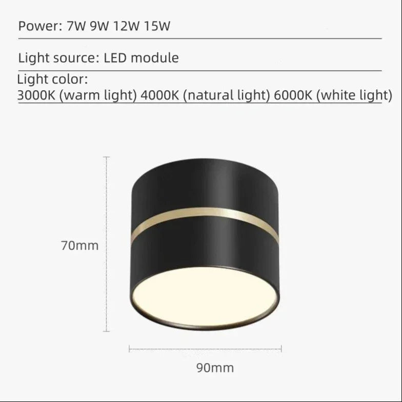 Portavia Surface Mounted Downlight-Welvere
