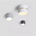 Portavia Surface Mounted Downlight-Welvere