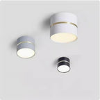 Portavia Surface Mounted Downlight-Welvere