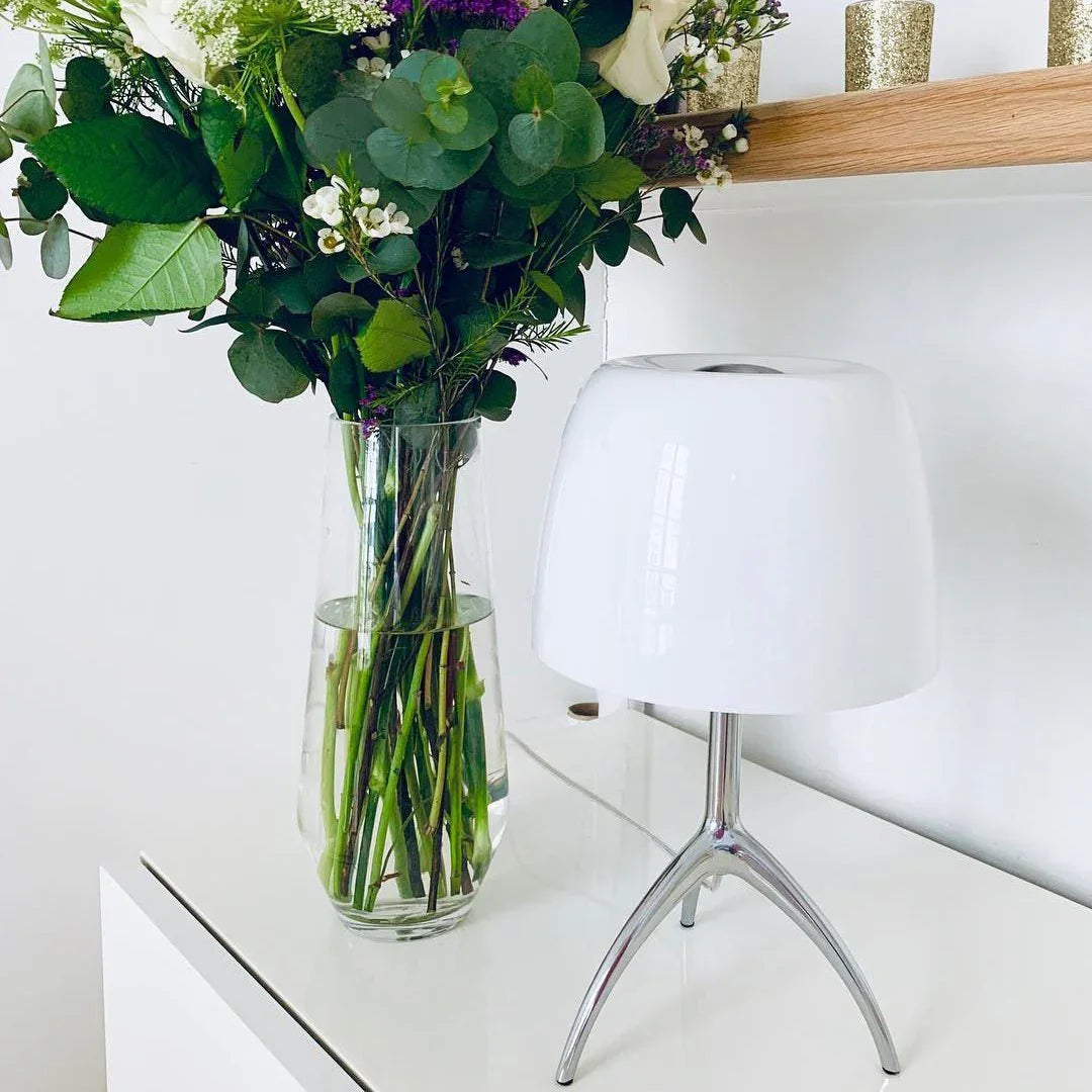 Portino Table Lamp-Welvere