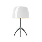 Portino Table Lamp-Welvere