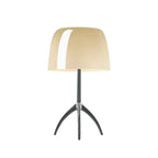 Portino Table Lamp-Welvere