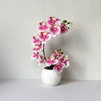 Premium Artificial Orchid Plant Arrangement in Ceramic Pot