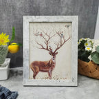 Rivana Photo Frame-Welvere