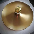 Rivero Livine and Ceiling Light-Welvere