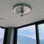 Rivero Livine and Ceiling Light-Welvere