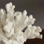 Rolfis Reef Decoration-Welvere
