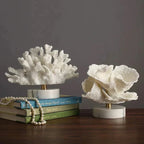 Rolfis Reef Decoration-Welvere