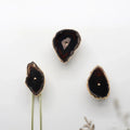 Rosella Livine Hook-Welvere