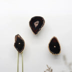Rosella Livine Hook-Welvere