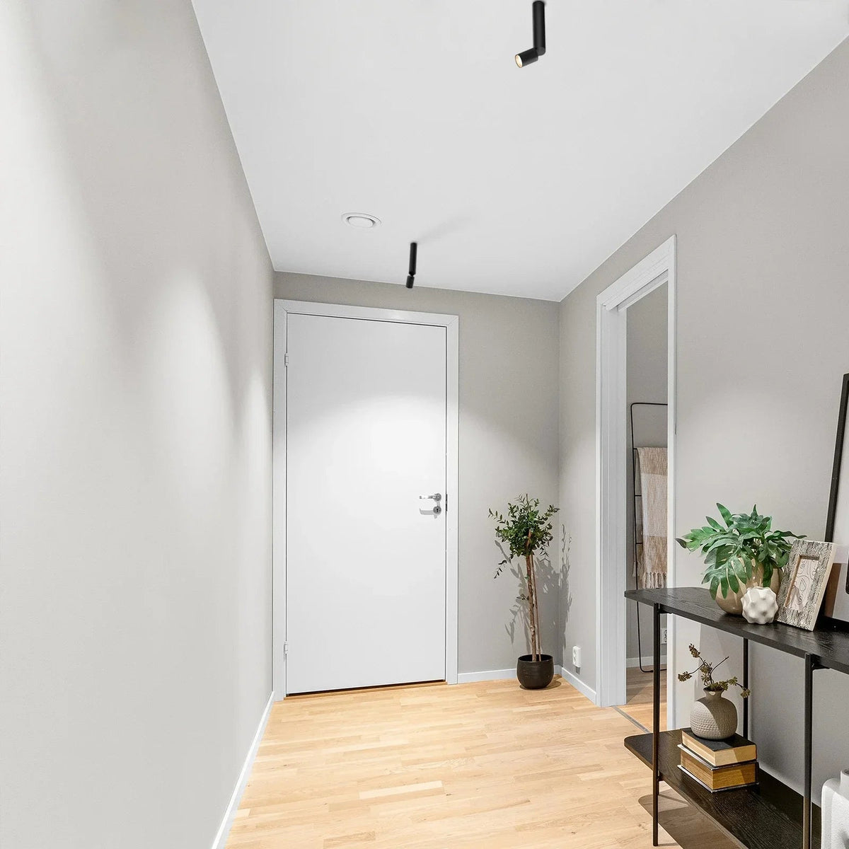 Rosetta Surface Mounted Downlight-Welvere