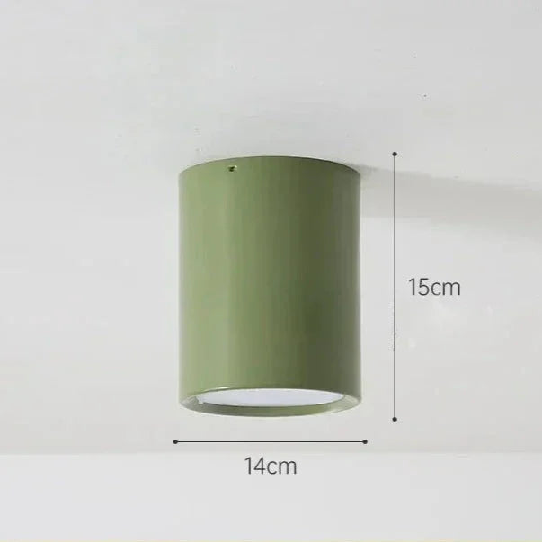 Rosisse Surface Mounted Downlight-Welvere