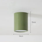 Rosisse Surface Mounted Downlight-Welvere