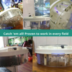 Rotating Fly Trap with Bait Stations and Catch Container