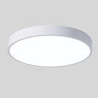 Scandinavian Circular LED Ceiling Light, Metal, Acrylic and Wood