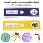 Portable HD Optical Microscope - 60-100x Magnification, LED, ABS, view 12
